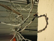 Twisted Barbed Wire