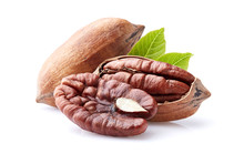 Pecan Nuts With Leaves On White Background