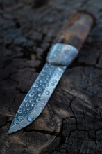 A Hunting Knife Laying On A Rough Wooden Surface Outdoors In The Rain. Focus Is On The Front Edge Of The Blade With Background Gradually Becoming Softer.
