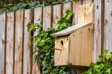 Wooden Bird Box