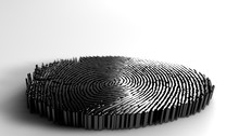 3D Illustration Black Fingerprint On A White Background