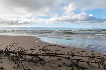 Wall Mural - Baltic sea coast in cold winter day next to Liepaja, Latvia.