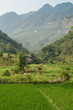 Newly planted rice terraces at Pu Luong Nature Reserve, Vietnam