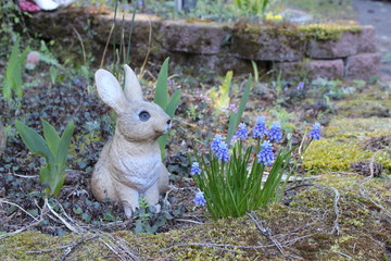 blue flowers and easter bunny