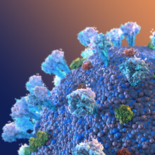 Illustration Of The Corona Virus Closeup 