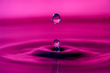 Wall Mural - Drop of water splashing macro with ripples