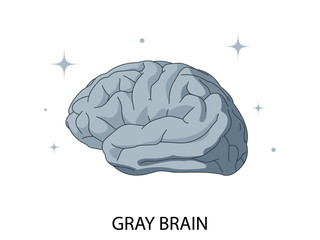 Gray human brain on white background. Vector isolated illustration.