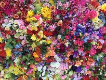 Full Frame Of Colorful Flowers On Gate