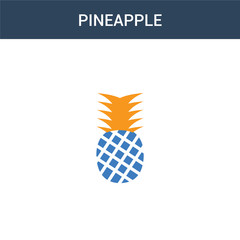 two colored Pineapple concept vector icon. 2 color Pineapple vector illustration. isolated blue and orange eps icon on white background.