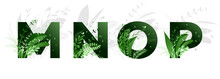 Vector Illustration. Flower Font Alphabet M,n,o,p. Green Letters And Elements Of Nature, Branches Leaves And Birds