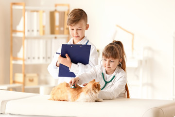 Sticker - Little veterinarians examining cute cat in clinic