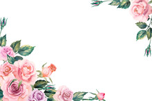 Corner Frame Of Pink Roses, Leaves And Buds On A White Background, Watercolor Illustration. Copy Space.