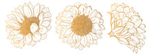Vector Sunflowers, Hand Drawn Set, Design Elements Suitable For Hot Foil Stamping