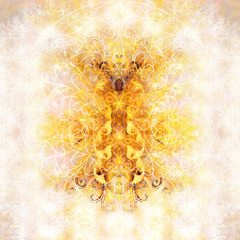 Poster - color ornamental mandala and softly blurred watercolor background.