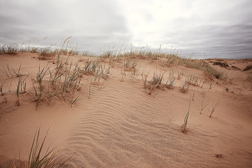 Wall Mural - desert landscape / sand desert, no people, dune landscape