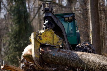 Wall Mural - Travaux forestier, débardage et bucheronnage