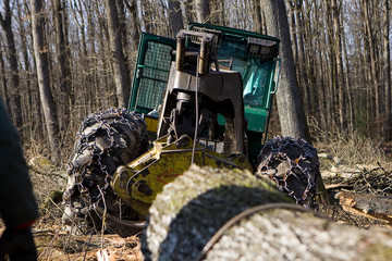 Wall Mural - Travaux forestier, débardage et bucheronnage