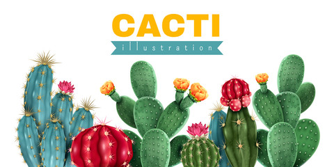 Wall Mural - cacti colored background