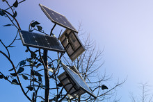 Tree-shaped Solar Panels In Urban City Streets. Renewable Energy Concept.