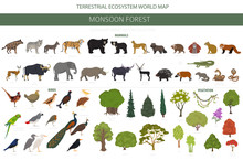 Monsoon Forest Biome, Natural Region Infographic. Terrestrial Ecosystem World Map. Animals, Birds And Vegetations Design Set