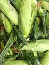 High Angle View Of Corn On The Cob In Market For Sale