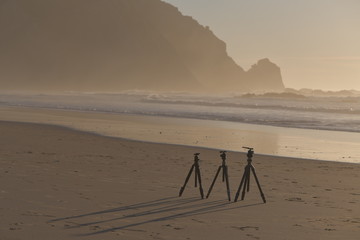 Wall Mural - beach in the morning