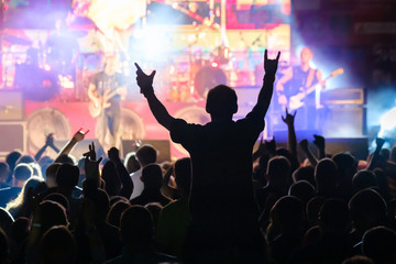 Wall Mural - Fans at live rock music concert cheering