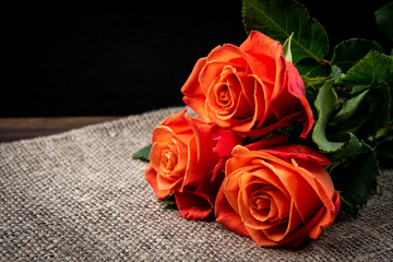 Wall Mural - Orange roses on dark wooden background.