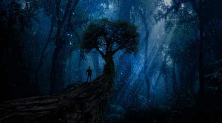 Wall Mural - Magic forest with points of light