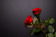 Roses on a black background. Copy space. The concept of death and mourning
