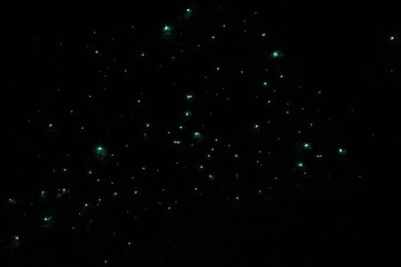 the starry sky in waitomo glowworm caves, new zealand