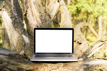 Wall Mural - Laptop outside concept. Empty copy space, blank screen mockup. Soft focus laptop in nature background. Ecology travel and work outside office concept.