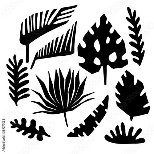 Isolated vector design set of black silhouettes of tropical leaves on a white...