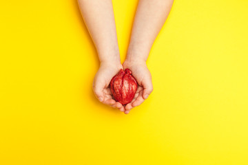 Wall Mural - Saving life is heart transplant. Baby hands hold organ on yellow background, concept.