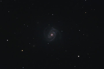 Wall Mural - The intermediate spiral galaxy Messier 100 in the constellation Coma Berenices photographed with a Maksutov telescope from Mannheim in Germany.