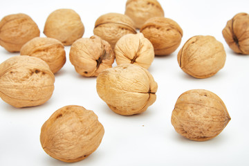 Leatheroid walnut