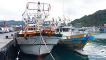 Asian Fishing Boats Anchored In Port. Taiwanese Multi-colored Fishing Trawler Moored In Bay On Background Of Green Mountains,
Fishing Industry In Asia. Fishermen Prepare Gear