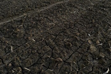 Dark brown cracked surface of the earth. Textured, natural surface.