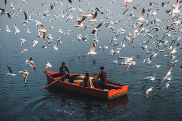 boats on the river and seagull