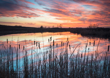 A Dramatic Sunset Sky Marks The End Of The Day At A Wetland Nature Preserve In Northern Illinois, USA.