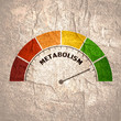 Metabolism level scale with arrow. The measuring device icon. Sign tachometer, speedometer, indicators. Infographic gauge element.