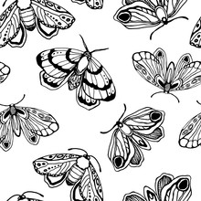 Seamless Vector Pattern. Black White Butterflies And Stars. For Textiles, Office, Wallpaper