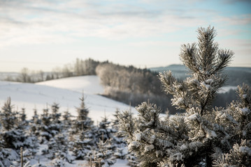 winter landscape on a cold day