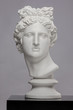 White plaster statue of a bust of Apollo Belvedere on a gray background