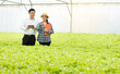 © mkitina4 - Organic vegetable farm, asian woman farmers inspect organic vegetables in the farm, vegetable salad, vegetable farm for commercial trade,Small business entrepreneur and organic vegetable farm concept