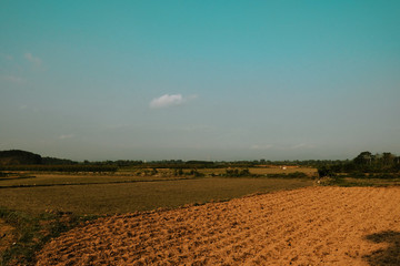 plowed field in spring