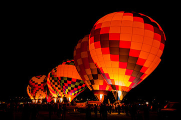 Wall Mural - Hot Air Balloons Lined up for Dawn Patrol