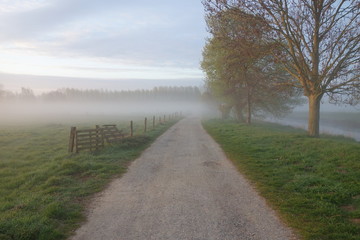 Weg am Niederrhein bei Grefrath Oedt im Morgennebel