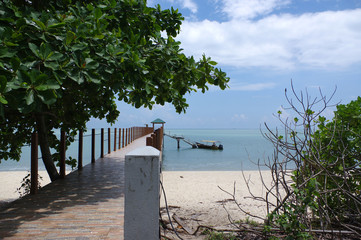 Wall Mural - plage des tortues sur l'île de Penang, Malaisie