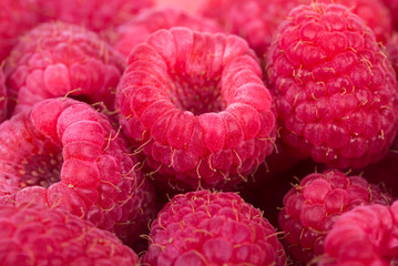 Wall Mural - Raspberries